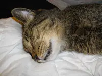 IMGP2765.webp