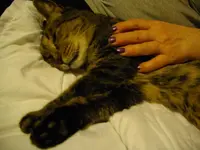 IMGP2766.webp