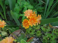 IMG_4766.webp