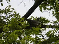P1120725.webp