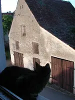 AbendsonnenfensterblickmitFlummi_Mai2016.webp