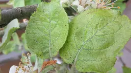 20160521_095740.webp