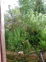 Hintertürblick_201605820.webp