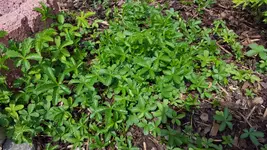 20160520_113452.webp