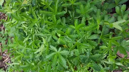 20160520_113444.webp