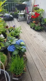 Screenshot_20160521-165935.webp