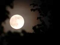 DSCN6494.webp
