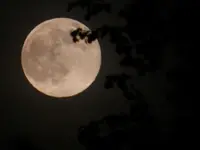 DSCN6518.webp