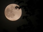 DSCN6518.jpg