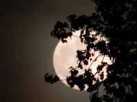 DSCN6522.webp