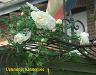 IMG_0561.JPG