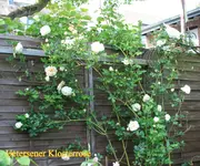 IMG_0562.webp