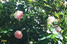 IMG_0569.JPG