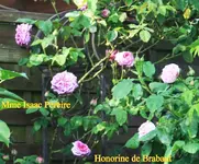 IMG_0604.webp