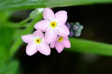 DSC_7012.webp