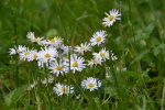 DSC_6914.jpg