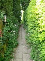 Garten Durchgang.webp Garten Durchgang.webp