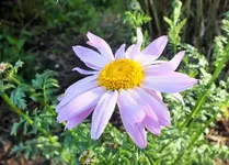 DSCF5932 (2).webp