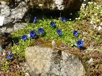 P1000270.webp