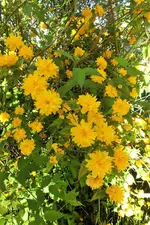 DSCF5952 (3).webp