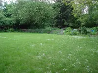Rasenfläche1.webp