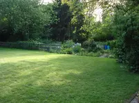 Rasenfläche mit Blick aufs Beet.webp