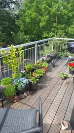 Screenshot_20160522-110941.webp
