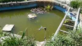 14639159480971386659736.jpg