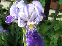 IMG_4783.webp