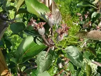 k-P1100762.webp