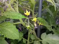 20160520_152711.webp