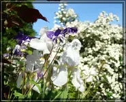 comp_DSC01216.webp