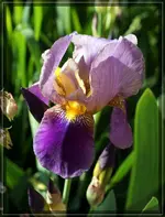 comp_DSC01222.webp