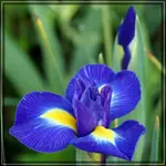comp_DSC01226.webp