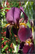 comp_DSC01229.webp