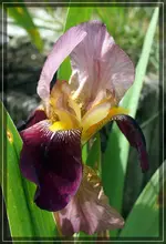 comp_DSC01248.webp