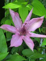 CIMG2130.webp