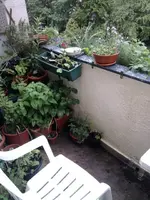 Balkon Mai 2.webp