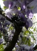 P1110930.webp