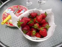 P1120738.webp