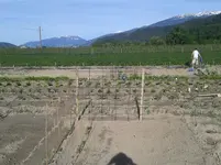 20160521_175543.webp