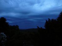 P1110949.webp