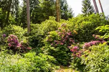 W 15-06-25-5706.webp