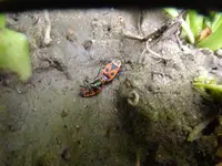 P1120889.webp