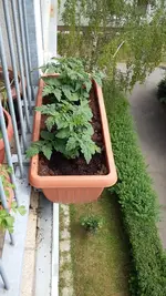 20160523_120435.webp
