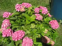 IMG_7639.webp