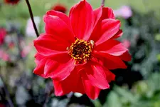 comp_IMG_8127.webp