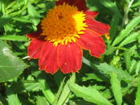 IMG_2256.webp