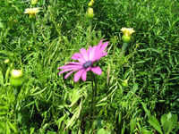 IMG_2260.webp