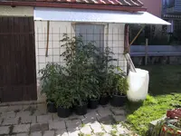 Gaten290709 018.webp